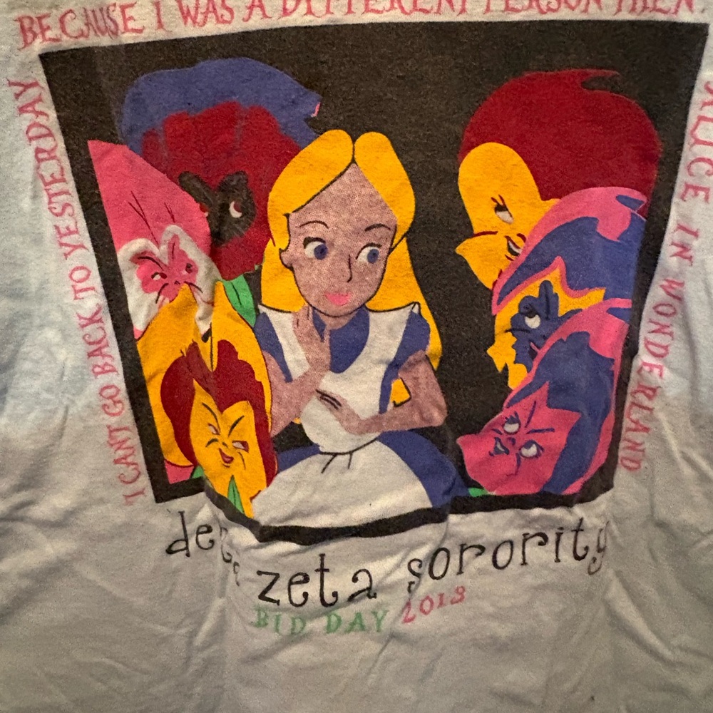 Comfort Colors Light Blue Tee Delta Zeta Sorority 2013 Bid Day
